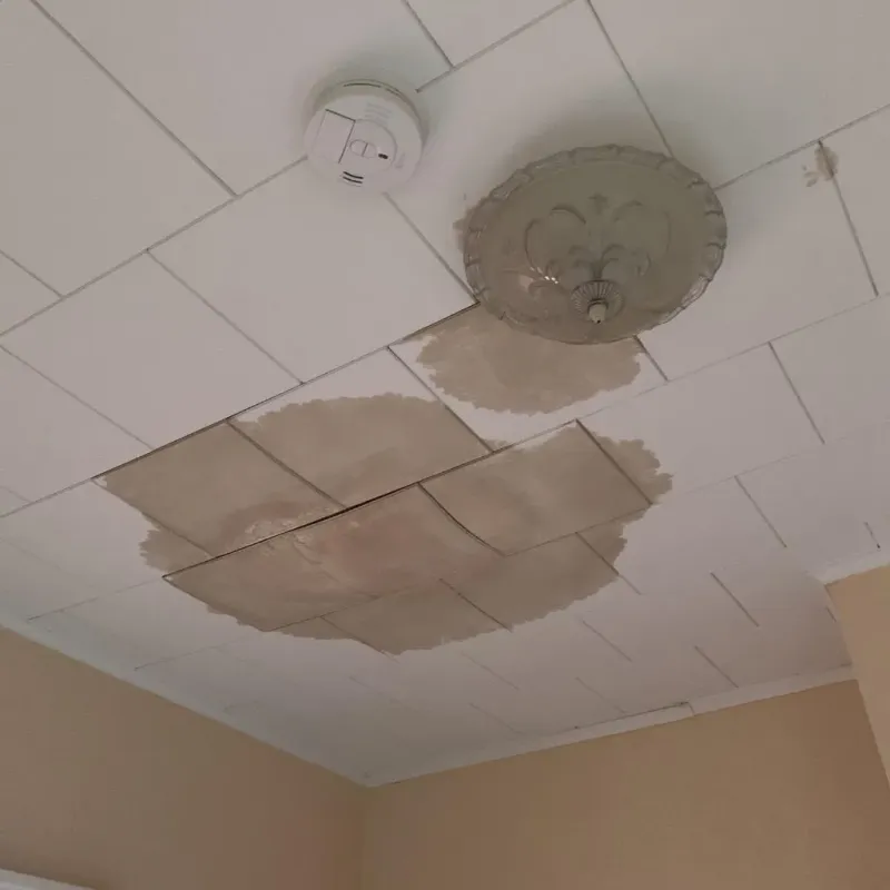 Ceiling Water Damage Repair in Schleicher County, TX