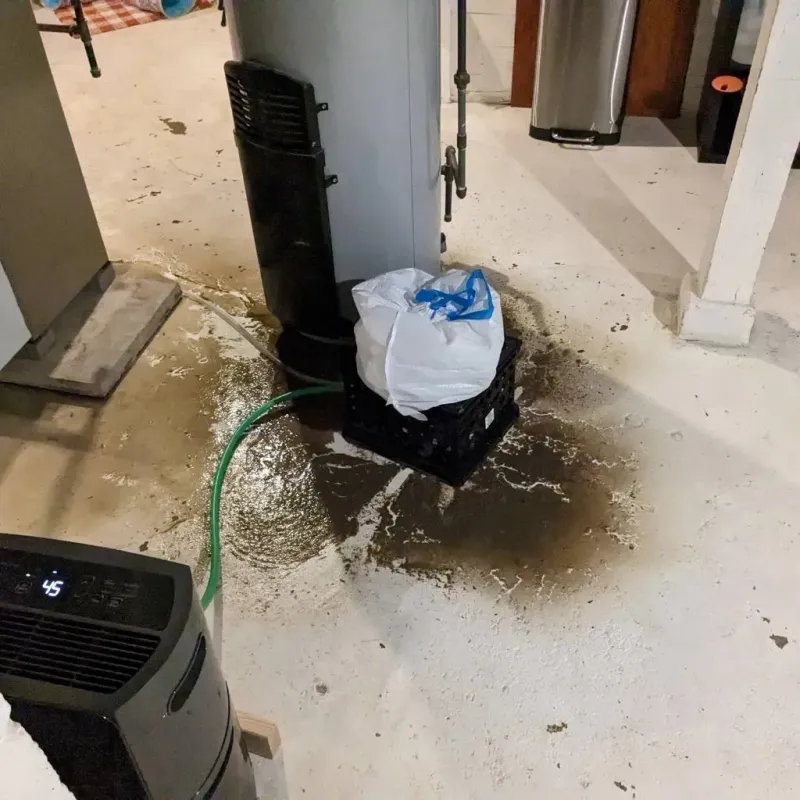 Sewage Backup Cleanup Service in Schleicher County, TX